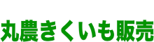 きくいも・菊芋通販